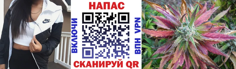 наркота  Крымск  МАРИХУАНА ГИДРОПОН 